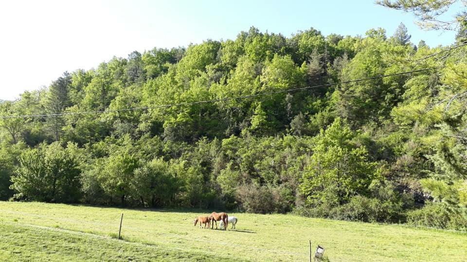 Du Domaine De Serre Long * Saint-Maurice-dʼIbie